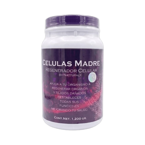 Células madre